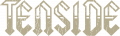 Tenside Logo Gold
